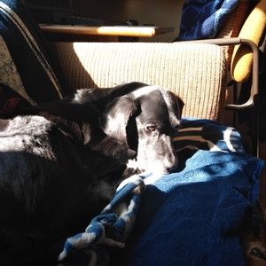 Meet your Posher, Pam